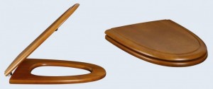 Villeroy & Boch Century Сидіння з кришкою для унітазу (для моделі 66551001) 8845K600