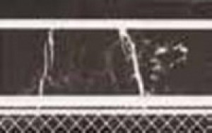 Peronda Roma ZOC.FONTANA-N фриз 191654