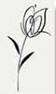 Peronda Nobel T.I.BLOOM-B фриз 94923