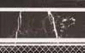 Peronda Roma ZOC.FONTANA-N фриз 191654