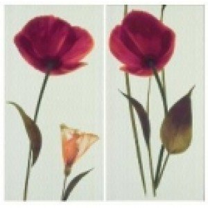 Gres de Valls Плитка Декор FIORELLA NARANJA 143702