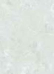 Lasselsberger Плитка ZIL 1034-0105 св-зел (ЗІЛІЯ) 163238