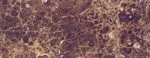 Rocersa EMPERADOR MARRON Плитка настінна 121179