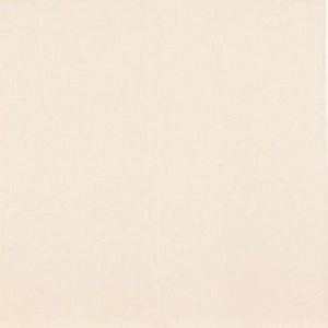 Sanchis STYLE CREMA Плитка для підлоги 98856