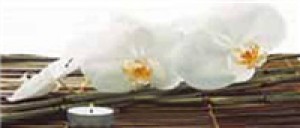 Novogres Плитка DEC DENNIS JARDIN декор 160965