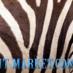 Novogres Плитка Planet DECOR BENIN декор 207591