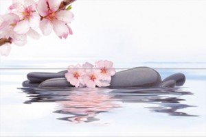 Novogres Плитка DEC DOLCEVITA LUXUS-2 декор2 192020