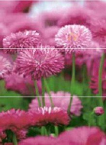 Novogres Плитка DEC FRESH HOYT-3 декор3 205705