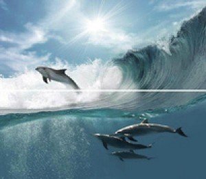 Novogres Плитка Fresh DEC FRESH ACUARIO-2 декор 205727