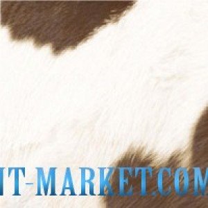 Novogres Плитка Planet DECOR TOGO декор 207593