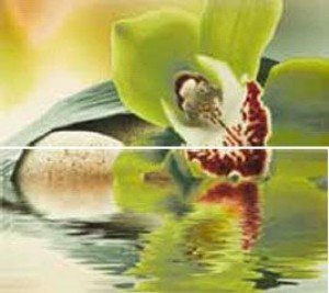 Novogres Плитка DEC DOLCEVITA VITEK-2 декор2 193857