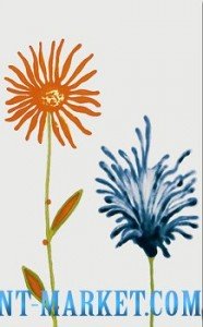 Novogres Плитка DEC VALETTA FUTURA BLANCO декор 115258