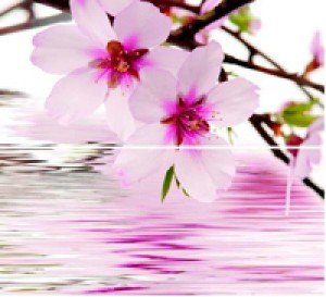 Novogres Плитка DEC DOLCEVITA SOLAR-2 206372