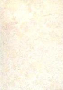 Atis Плитка RW43115 [TAPETE LIGHT] 141954