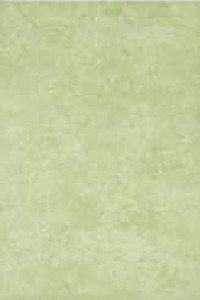 Церсаніт Аміра зелений 20х30