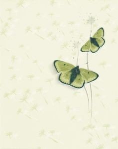 декор Церсаніт Альмерія 25x35 Зефір