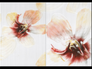 Церсаніт Лорена декор крем 50х35