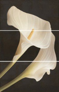 Ape ARMONIA DEC SET (3) TROPICAL BLANCO декор3 плитка настінна 236262