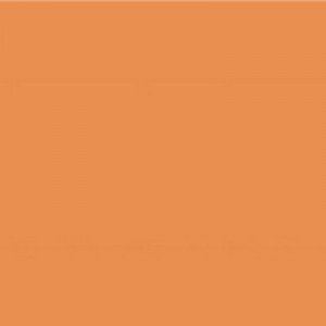 APE FRESCO MANDARINA Плитка для підлоги 71104