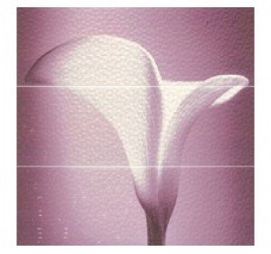 APE Luna DEC SET (3) ANGELS PURPURA декор3 Плитка настенная 204072