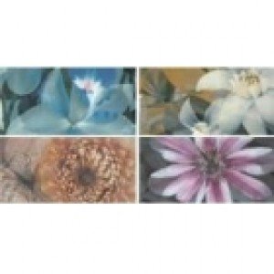 APE Experience DEC BALMA MIX декор4 Плитка настінна 145509