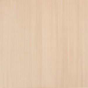 APE EXPERIENCE CAPUCCINO Плитка напольная 92456