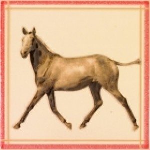 Ape Fayette DECOR BUCEFALO ARENA декор плитка настенная 202625