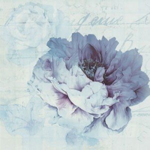 Ape Fayette DECOR CHARLIE II BLANCO декор плитка настінна 202660