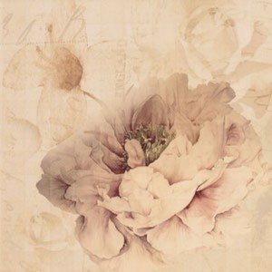 Ape Fayette DECOR CHARLIE I ARENA декор плитка настенная 202626