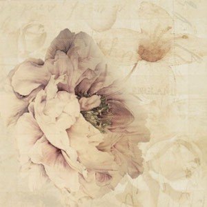 Ape Fayette DECOR CHARLIE I MARFIL декор плитка настенная 202637