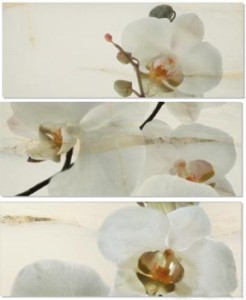 APE DEC SET ORQUIDEA/ONICE декор3 Плитка Настенная 163459