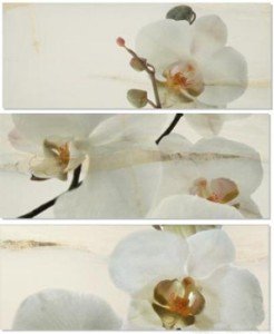 APE DEC SET ORQUIDEA / ONICE декор3 Плитка настінна 163459