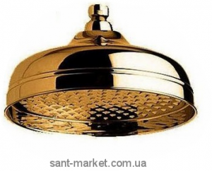 Лейка для верхнего душа с тропическим душем Bugnatese бронза RICBR19416