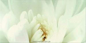 Opoczno Плитка настенная DIAGO INSERTO FLOWER C 29 7X60