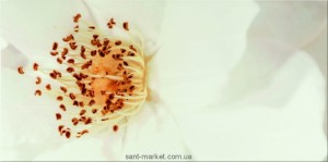 Opoczno Плитка настінна DIAGO INSERTO FLOWER A 29 7X60