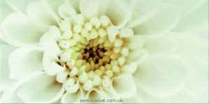 Opoczno Плитка настінна DIAGO INSERTO FLOWER B 29 7X60