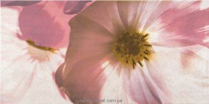 Opoczno Stone Rose Декорація настінна Stone rose inserto flower B 29 7X60