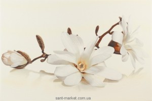Opoczno Flora декор магнолия 30x45