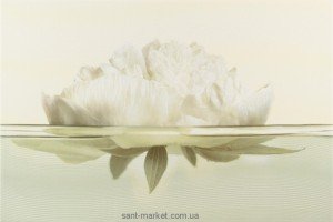 Opoczno Flora декор півонія 30x45