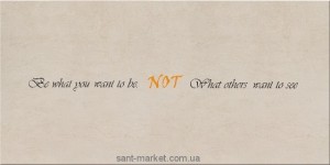 Opoczno CITY CALL NOT декор 29 7X59 8