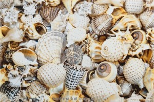 Opoczno Nizza мушлі декор B 30х45