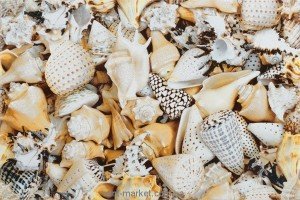 Opoczno Nizza мушли декор А 30х45