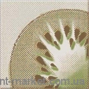 Opoczno INWENCJA декор ківі 10X10