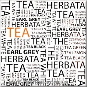 Opoczno MONTANA декор чай 10x10