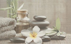 Cersanit Olivia Декор Olivia SPA 1 сірий 25х40