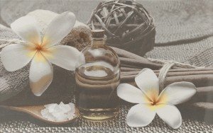 Cersanit Olivia Декор Olivia SPA 2 сірий 25х40