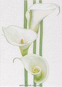 Cersanit Rona Декор Rona 25х35