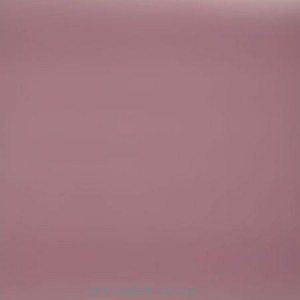 Плитка для підлоги Porcelanite DOS 2210 Lila 422 41x41