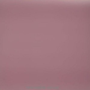 Плитка напольная Porcelanite DOS 2210 Lila 422 41x41