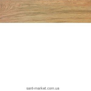 Плитка керамогранит для підлоги Atlas Concorde Etic AJ8D Rovere 22.5х90